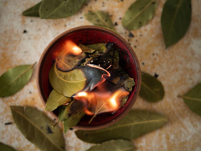 Beneficios de prender laurel en la casa - Getty Images