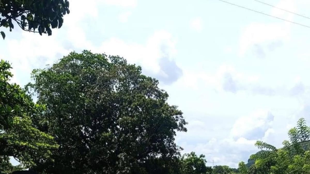 Muere motociclista en accidente de tránsito en la vía La Dorada- Honda