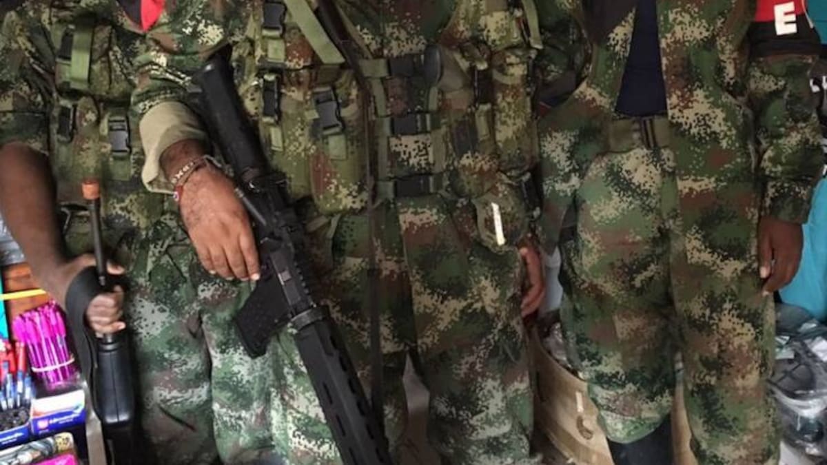 Representante a la Cámara, Piedad Correal