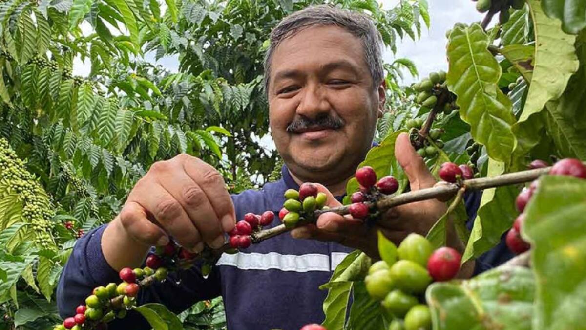 ¿Es posible un café más amigable con el medio ambiente?