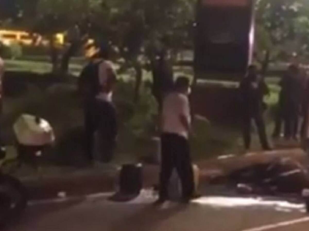 Caballo que se desplomó en Avenida Santander fue dado de alta