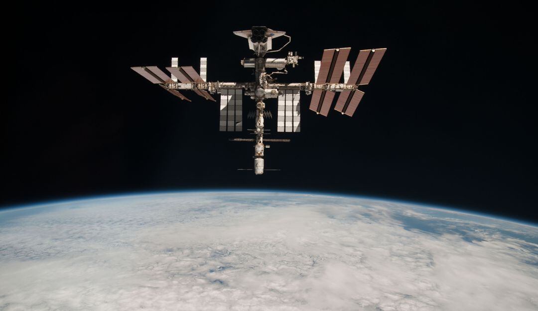 El descubrimiento permitiría crear cultivos autosostenibles para misiones espaciales.