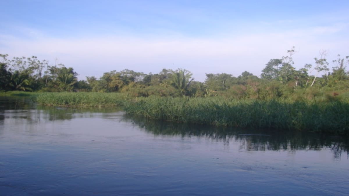 270 hectáreas se suman a la conservación del Vía Parque Isla de Salamanca