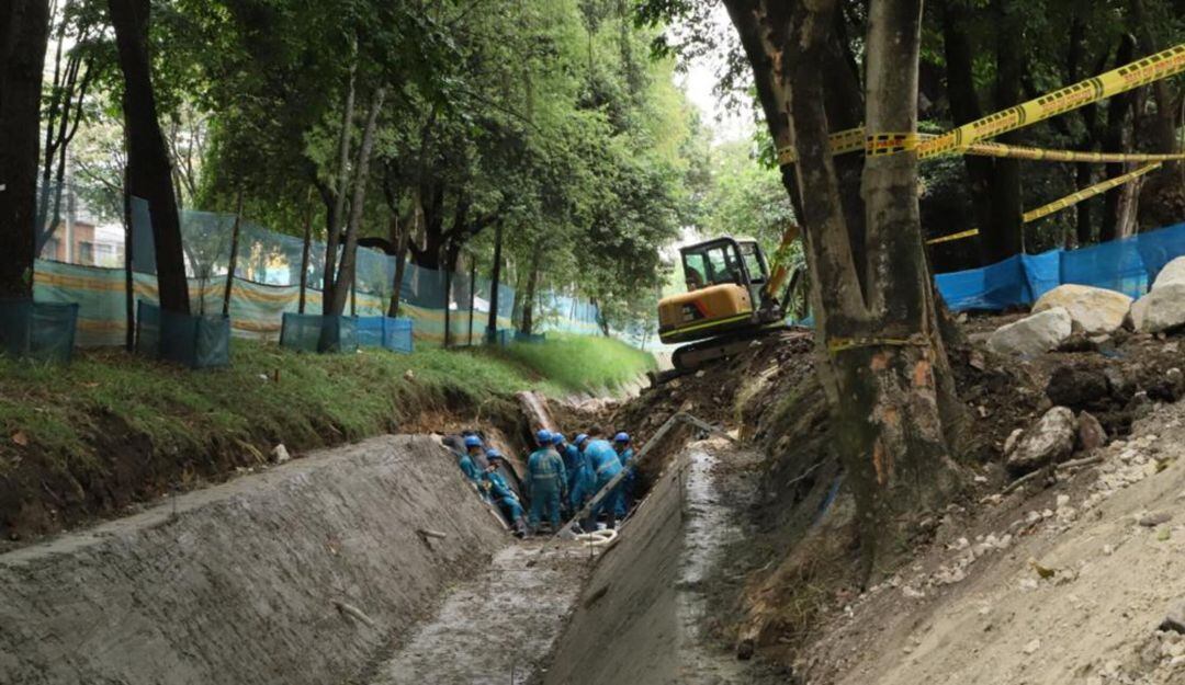 Desde la Secretaría de Ambiente explicaron por qué se hizo esta tala.