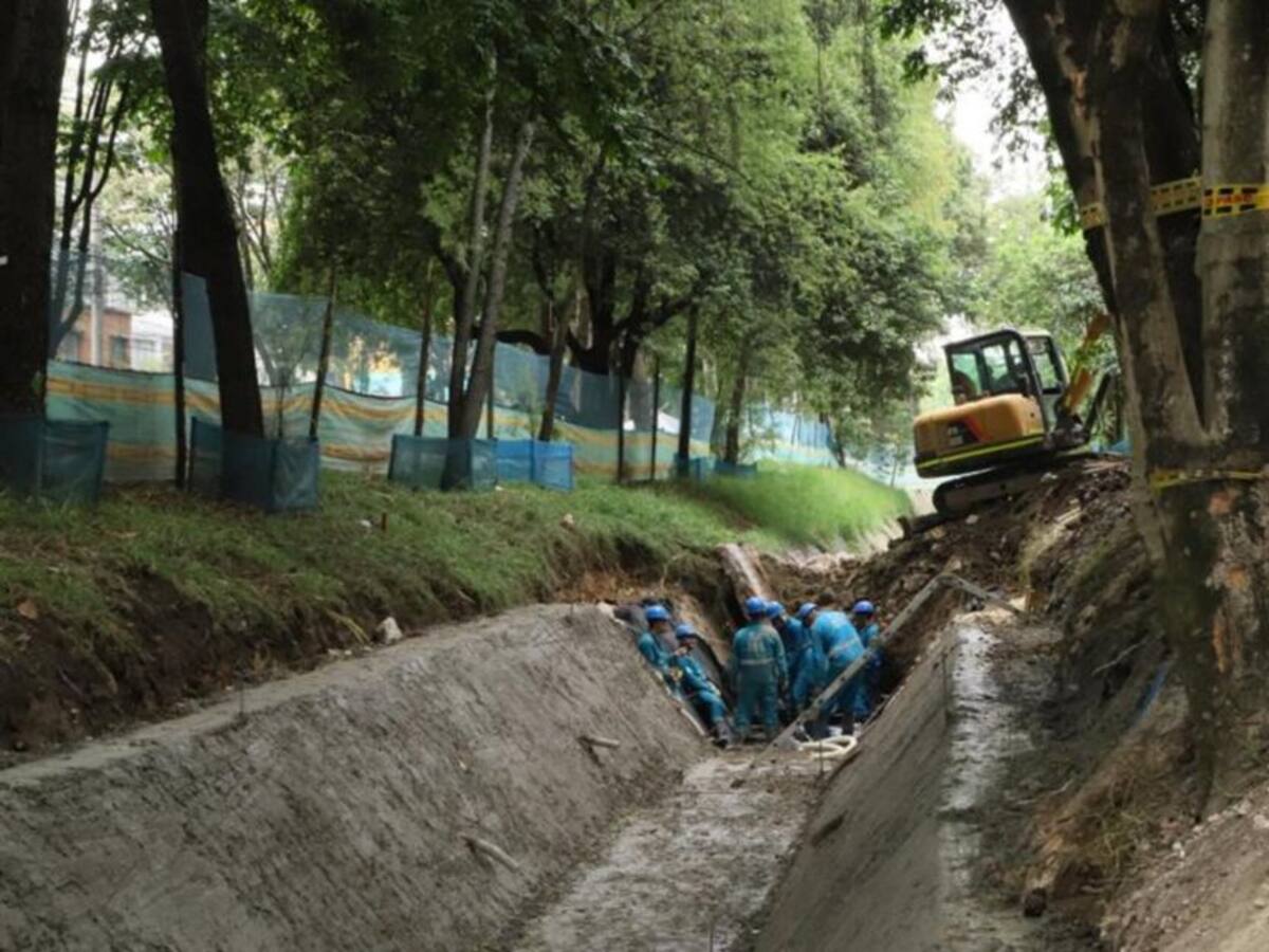 Polémica por la tala de árboles en el Parque El Virrey
