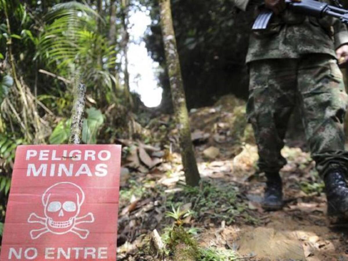 Reportan otra víctima de minas antipersonal en Nariño