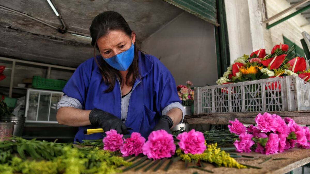 Floricultores de Boyacá advierten caída de exportaciones por bloqueos