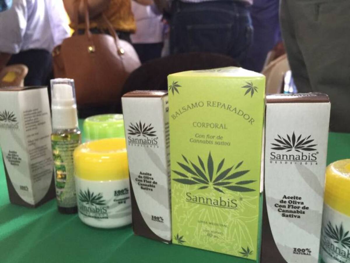 Cauca, pionera en cultivos de marihuana medicinal