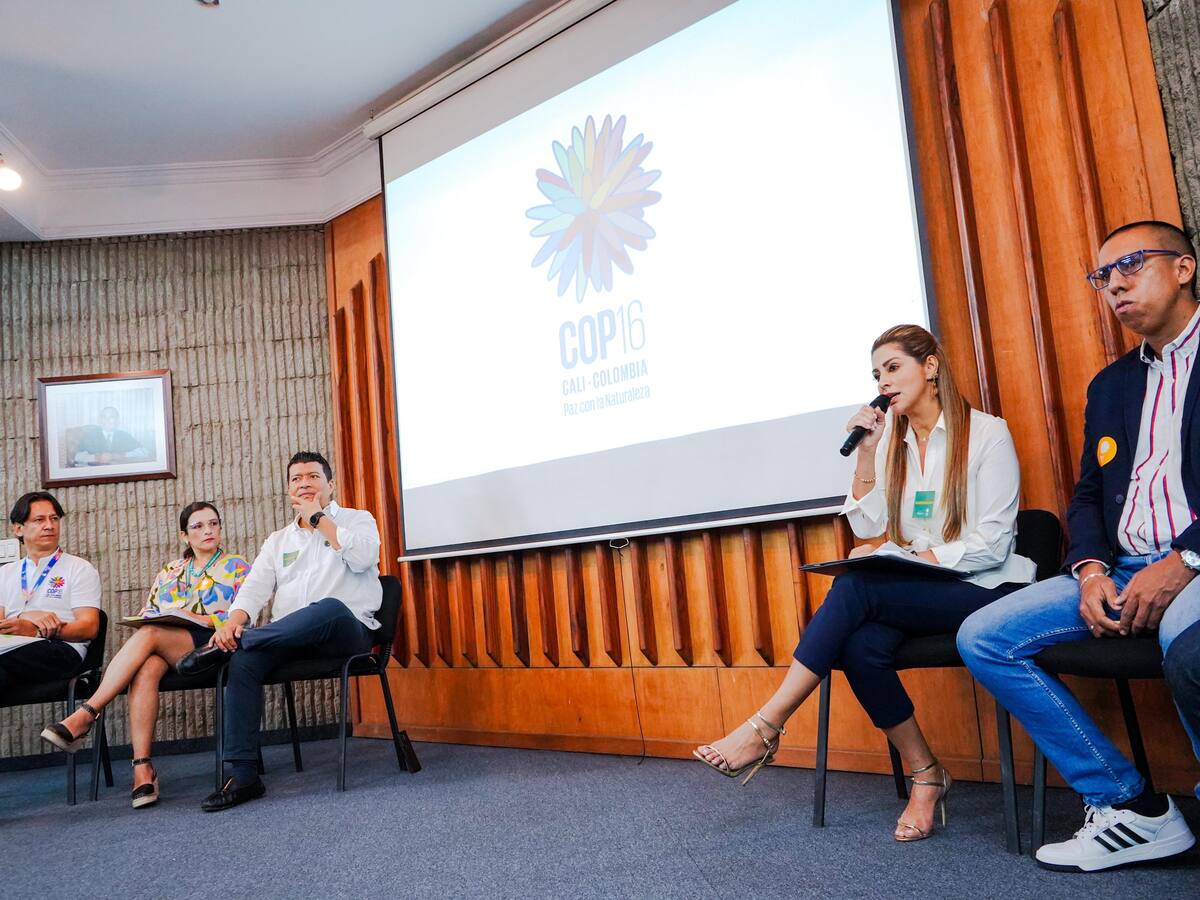 COP16: Gobernadora del Tolima llama la atención por la cordillera de Los Andes