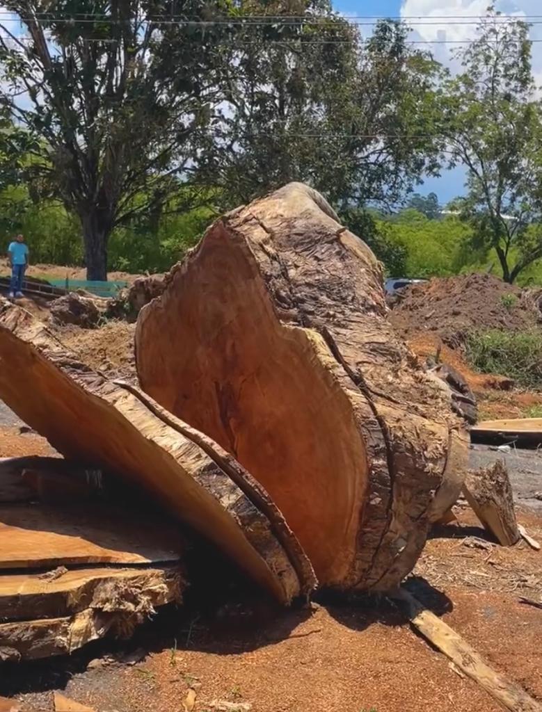 Foto: Tomada Twitter Carolina Giraldo