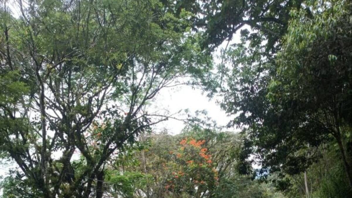 Veintidós personas resultaron heridas en aparatoso accidente de tránsito