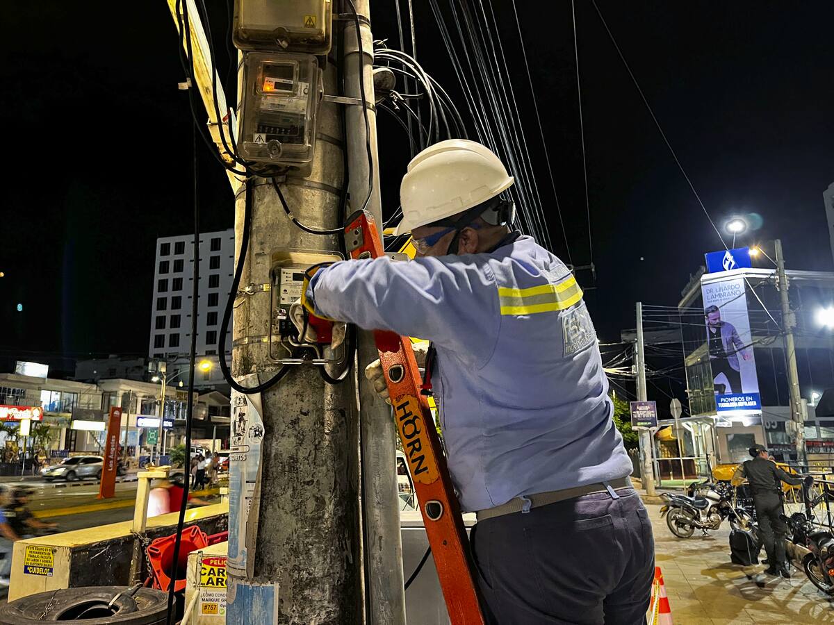Afinia detectó fraudes de energía en cuatro locales comerciales de Las Gaviotas