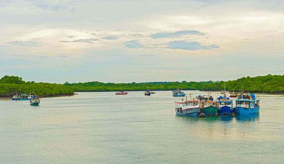 Barcos de pesca en el Puerto de Mensabe en Panamá.