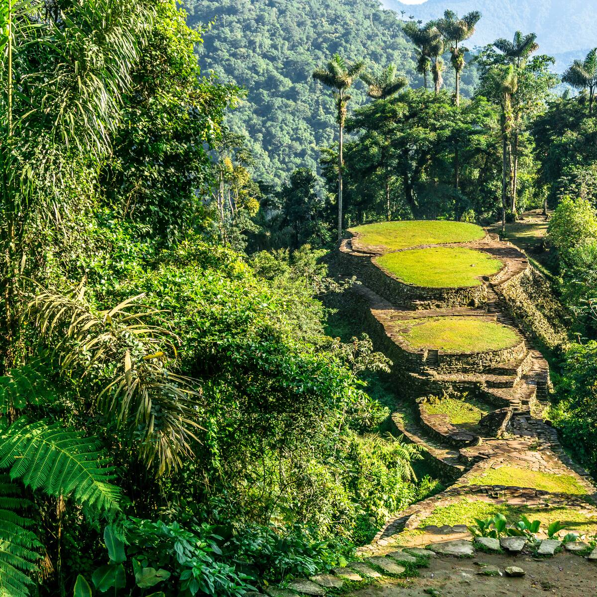 La Ciudad Perdida de Colombia es más antigua que Machu Picchu: ¿en qué año se construyó?