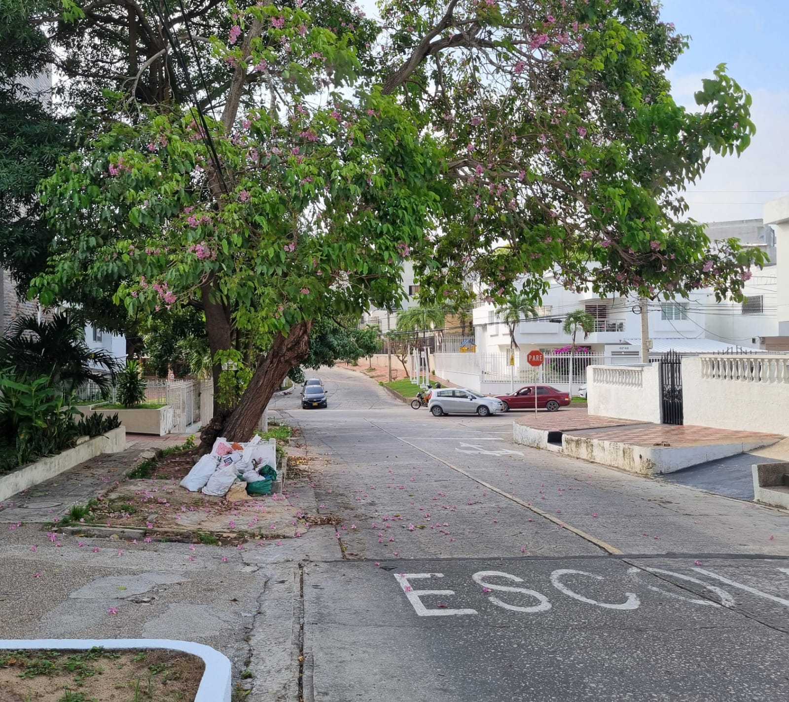 Sector donde ocurrió el hurto, en el barrio Ciudad Jardín de Barranquilla./ Foto: Caracol Radio