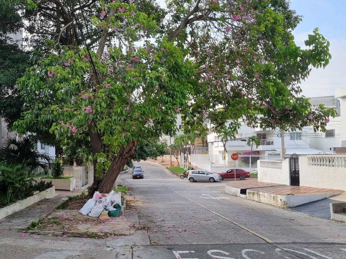 Buscan a los responsables de millonario hurto dentro de vivienda en Barranquilla