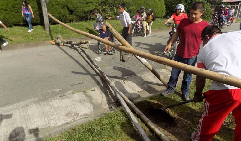 Imagen de referencia 