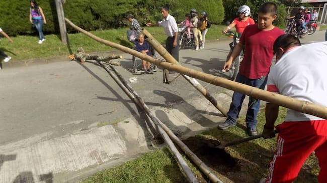 Imagen de referencia