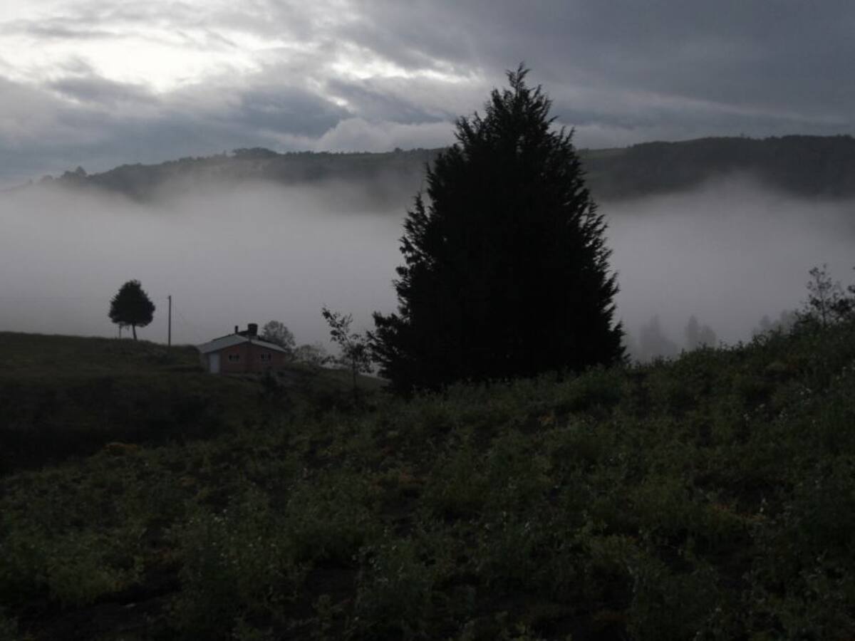 Damnificados por heladas en Tunja tendrían beneficios en pago de impuestos