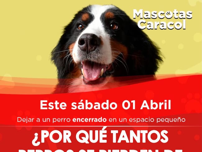 Especial de Guarderías 01 abril