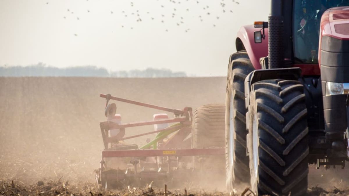 ¿Por qué es alta la accidentalidad laboral en el campo colombiano?