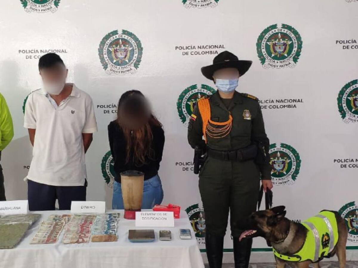 Ofensiva en Ibagué contra la venta de droga