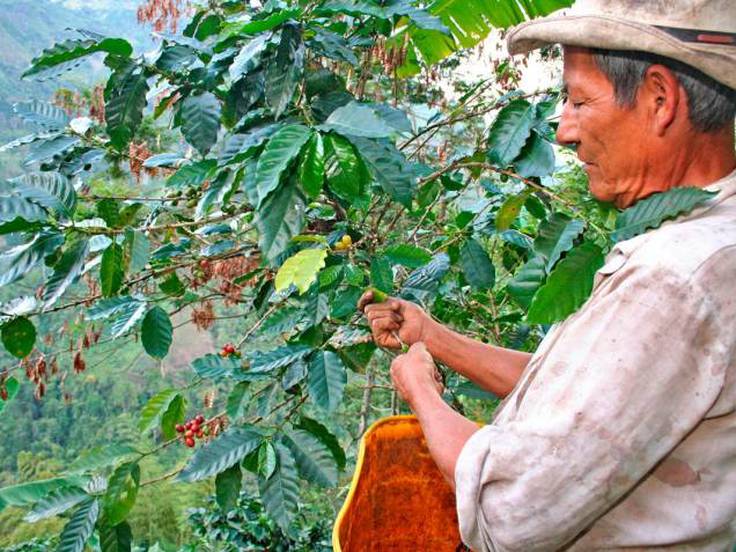 Imagen de archivo - Colprensa.