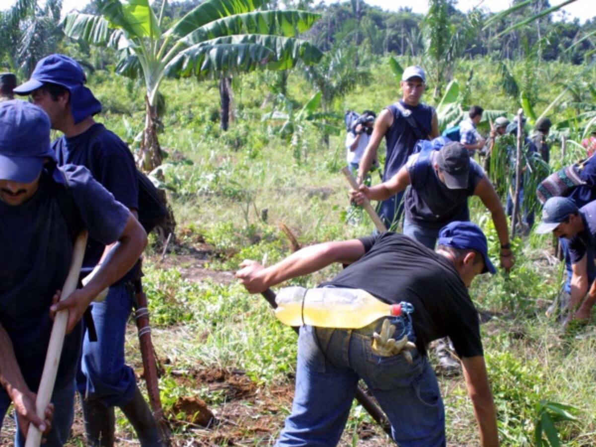 Considera usted que el Plan Colombia ha funcionado