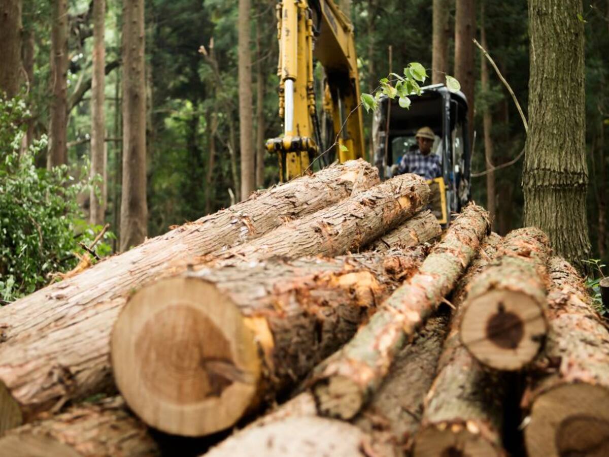 El sector agroforestal presenta propuesta al gobierno de Gustavo Petro