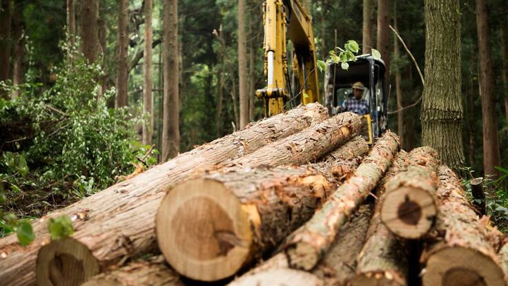 El sector agroforestal presenta propuesta al gobierno de Gustavo Petro