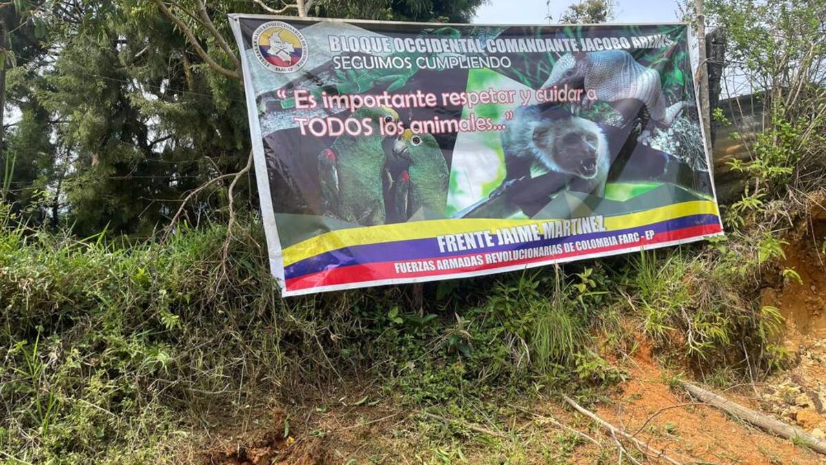 Liberan a dos trabajadores secuestrados por disidentes de las Farc en Jamundí, Valle