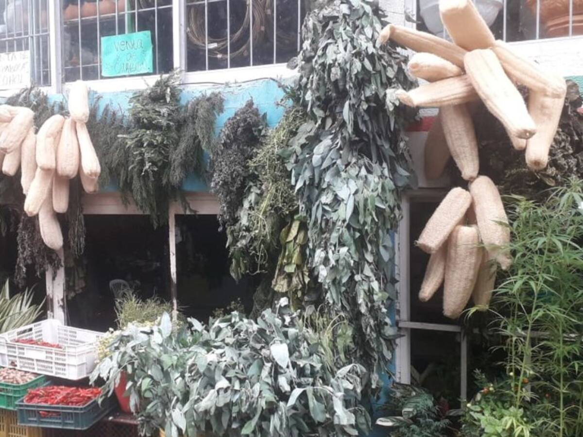 En un 40% han aumentado las ventas en negocios de plantas medicinales