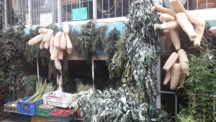 En un 40% han aumentado las ventas en negocios de plantas medicinales