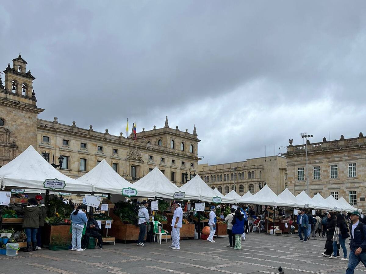 Campesinos se toman la Plaza de Bolívar en Bogotá, en el Gran Mercado Campesino