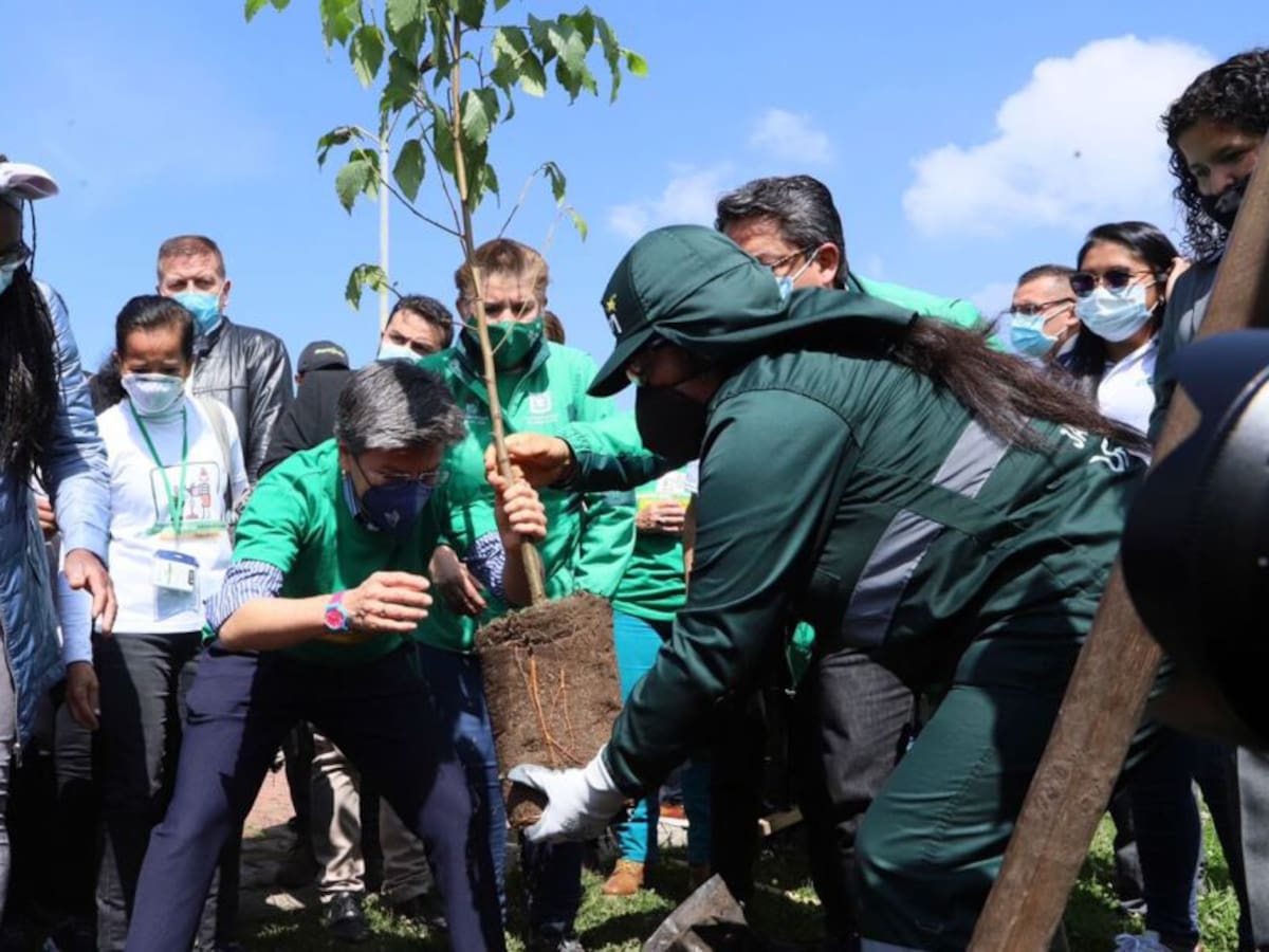 Secretaria de ambiente advierte de falsos formularios de Mujeres Reverdecen