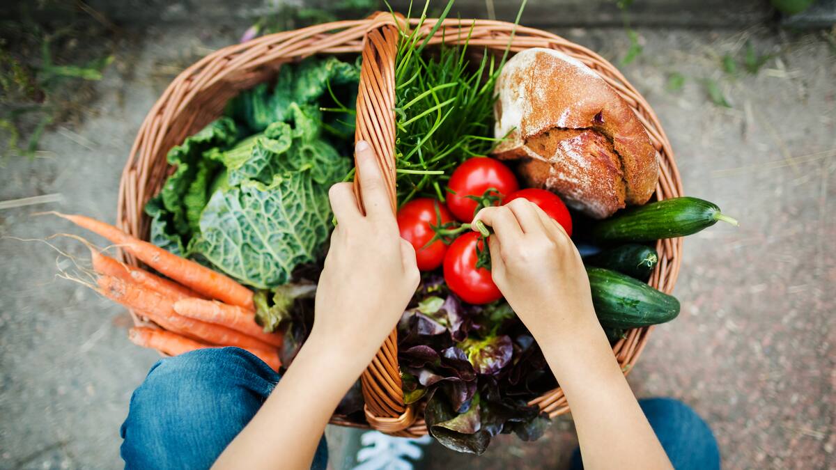 Conozca la Red del Cuidado Común que acerca el campesino al consumidor