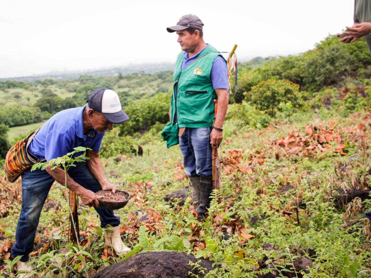 Autoridad ambiental del Tolima restaura predios de comunidades indígenas