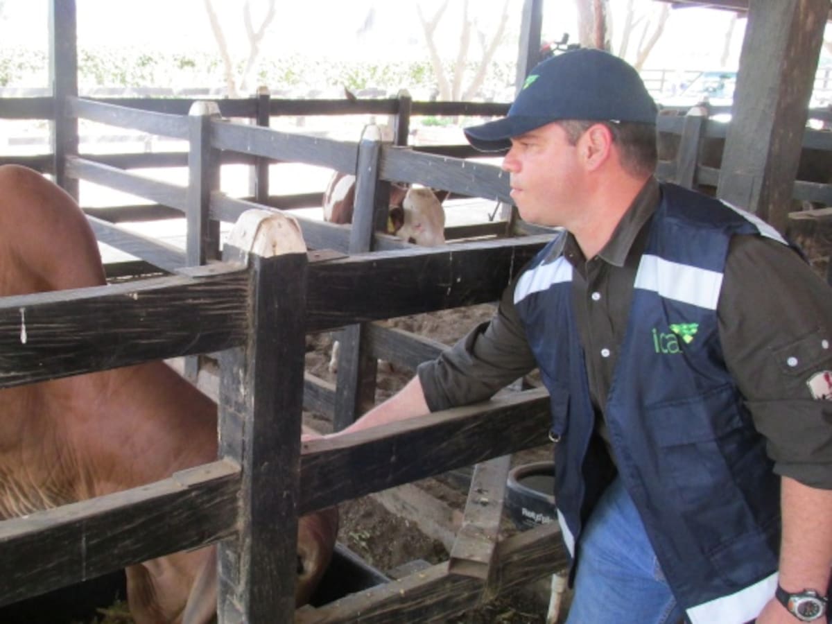 Brotes de rabia silvestre y encefalitis equina afectan a Casanare