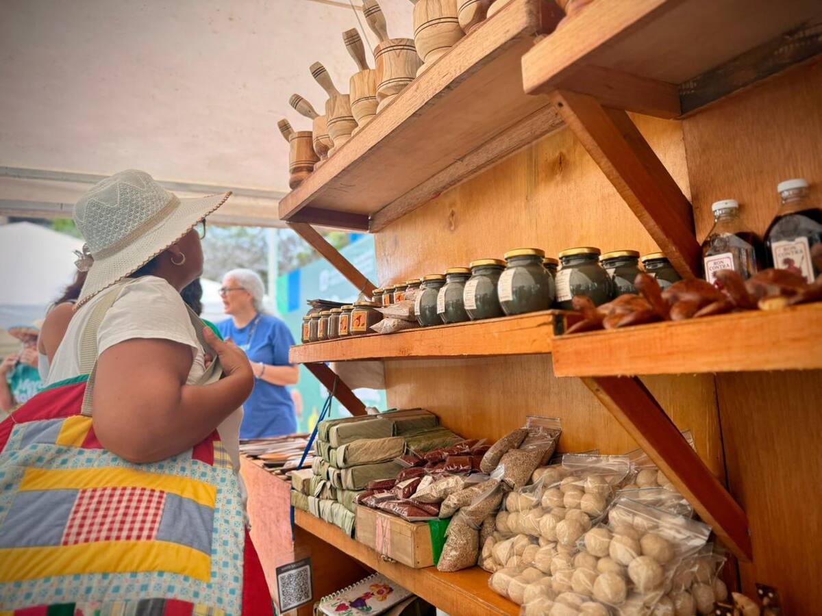 Merca Bolívar en Castillogrande dejó más de $60 millones en ganancias a campesinos y emprendedores