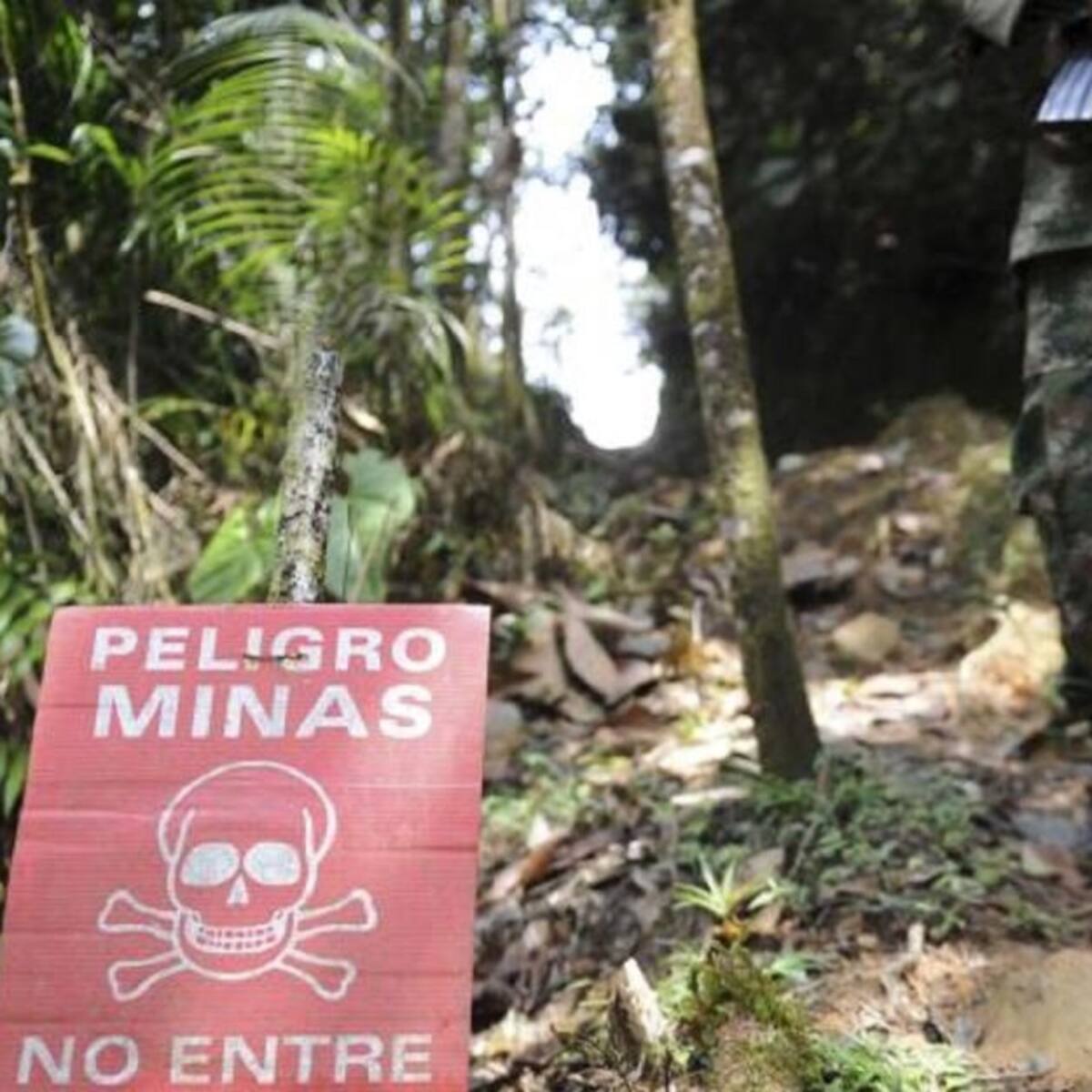 Procuraduría pide a la JEP acreditar a militares víctimas de minas antipersonal en macrocaso 10