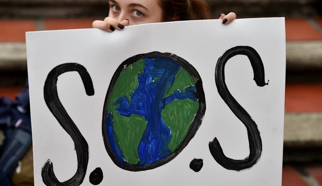 Imagen de referencia