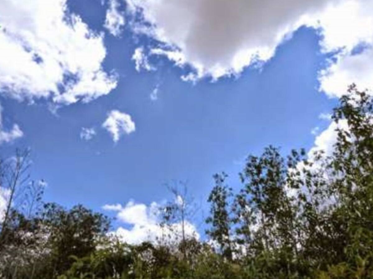 En un mes la alcaldía de Bogotá presentaría proyecto de intervención en la reserva Van Der Hammen