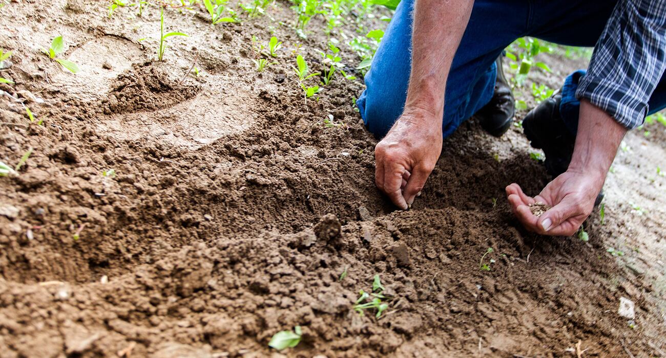 Según cuenta el vocero del gobierno regional un recurso amplio se invirtió en el sector cafetero, tres proyectos de arroz, extensión agropecuaria y cuatro en ganadería.