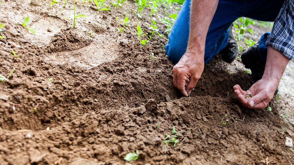 OCAD Paz aprueba $5,2 billones para proyectos en territorios PDET