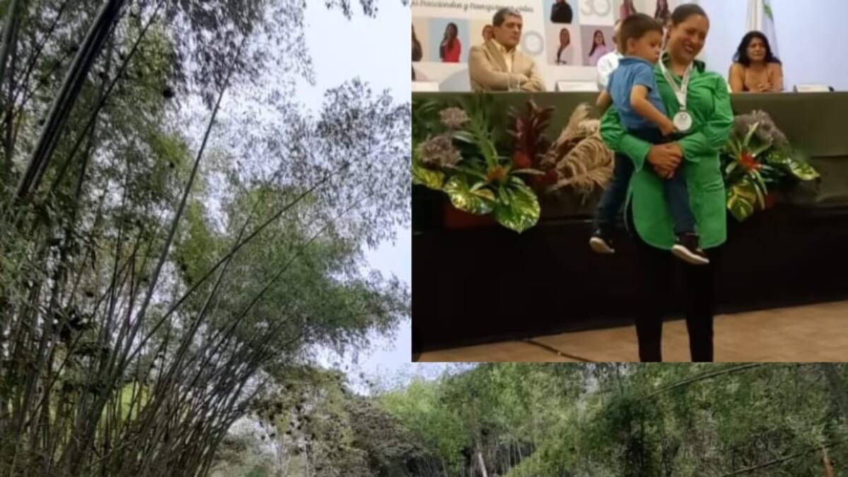 Viviana Viera, mujer comfenalco