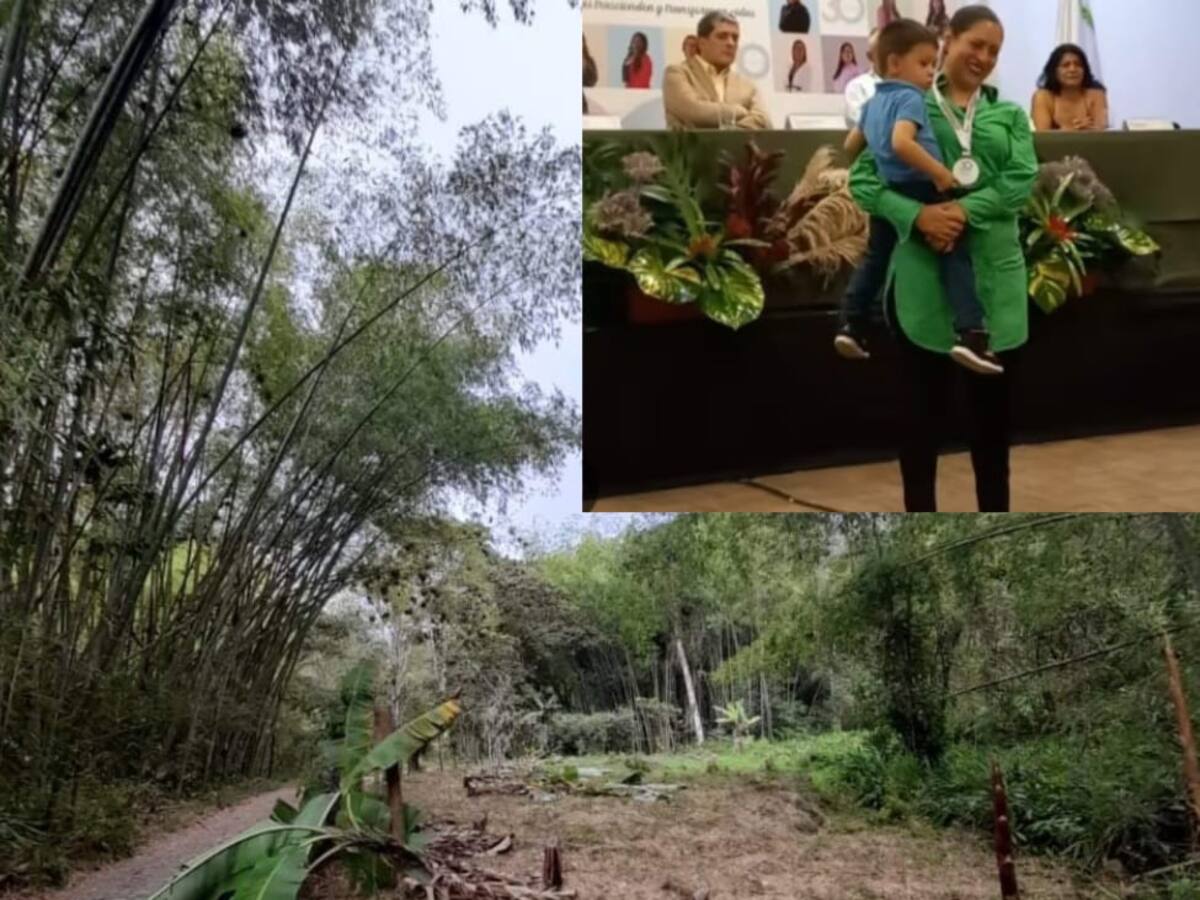 Mujer Comfenalco Quindío denunció vandalismo a su predio en el municipio de Génova