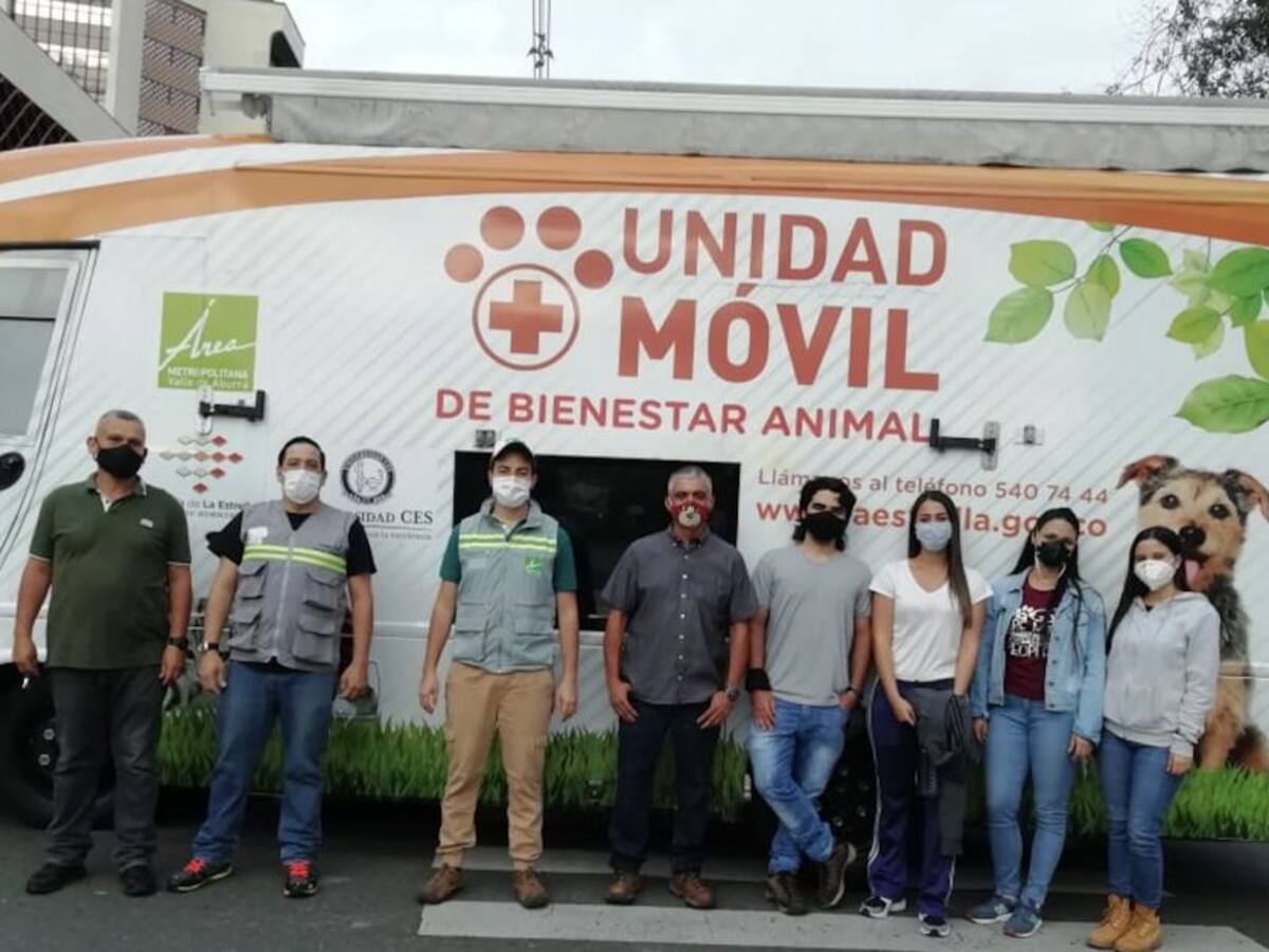 En Antioquia atenderán a animales afectados por la ola invernal
