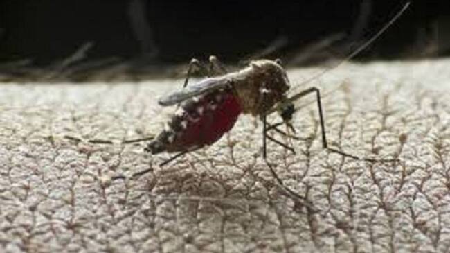 Los municipios más afectados son Armenia, Quimbaya, Tebaida, Calarcá y Montenegro.