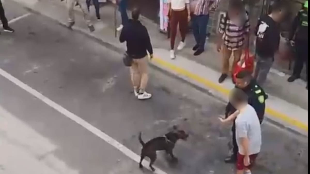 Alcaldía de Rionegro pide “investigación transparente” por muerte de un perro en actividad policial