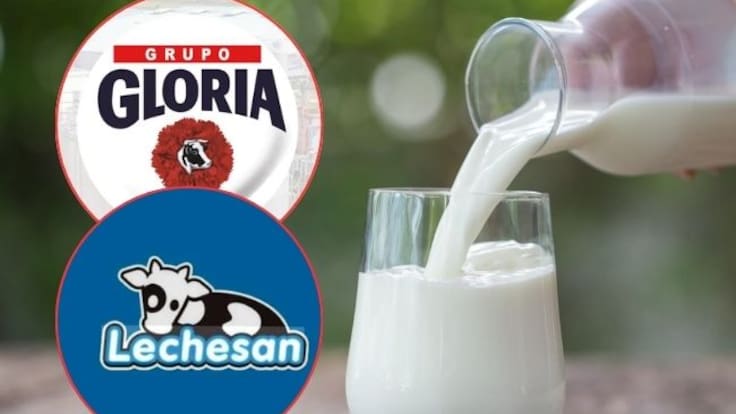 Fredy Mateus, productor lácteo de Cimitarra, Santander analiza efectos del cierre de la planta de Gloria en Cogua, Cundinamarca